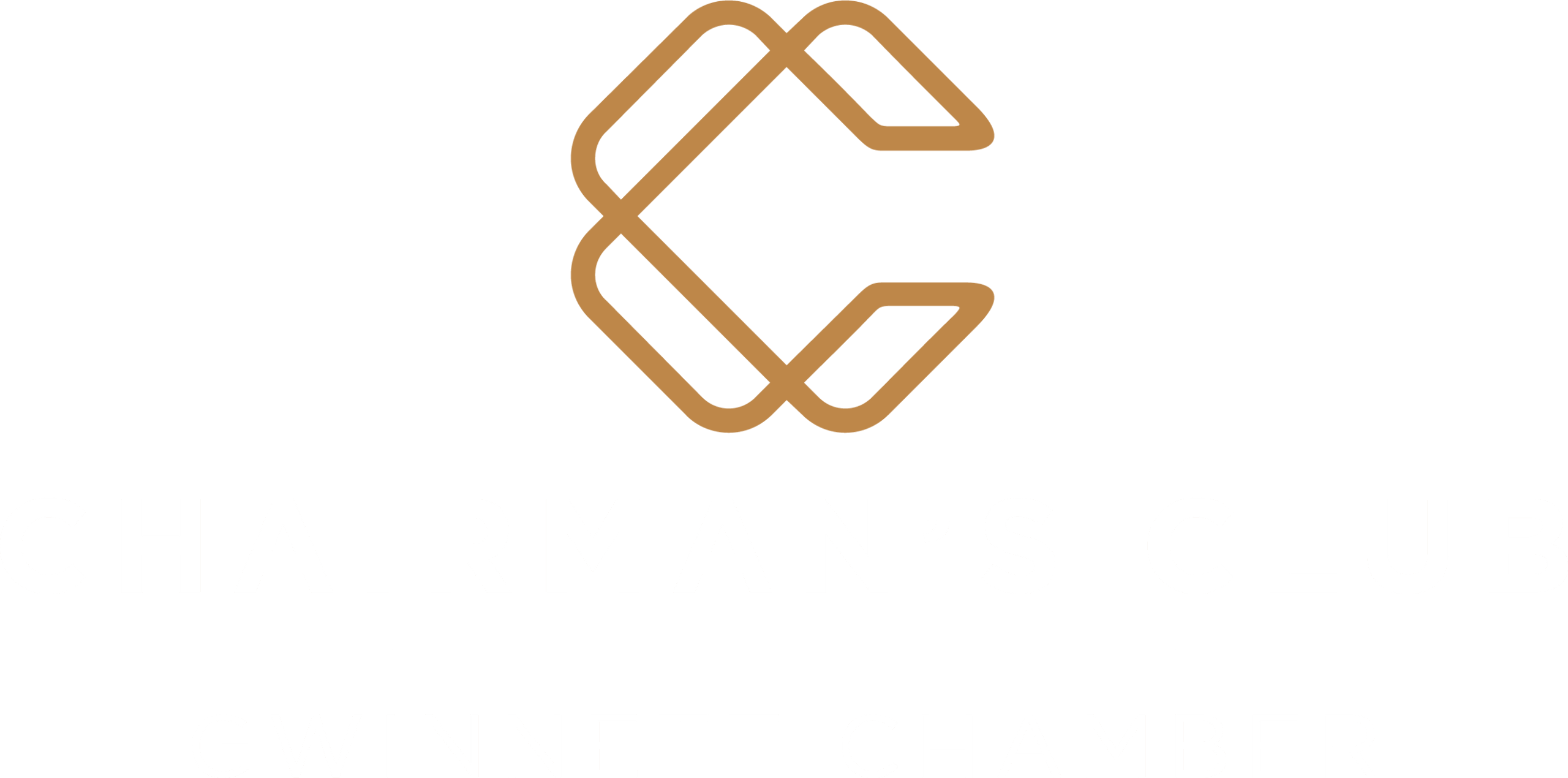 Gwinnett Chamber Chairman's Club Directory